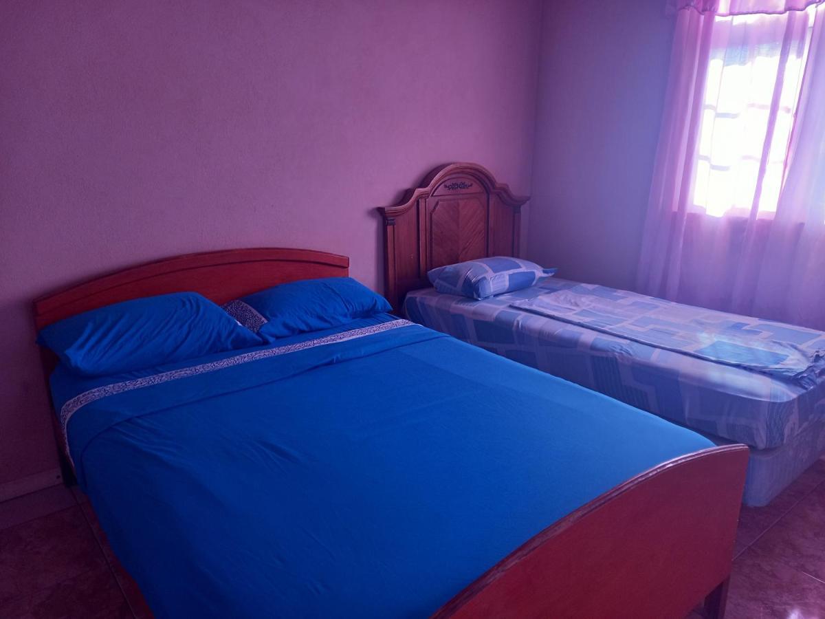Nicolodge Apartments クライストチャーチ エクステリア 写真